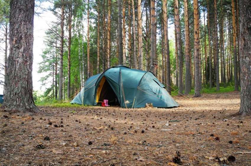 Отдых с палатками в Подмосковье 2017, с палатками, у воды, дикарем